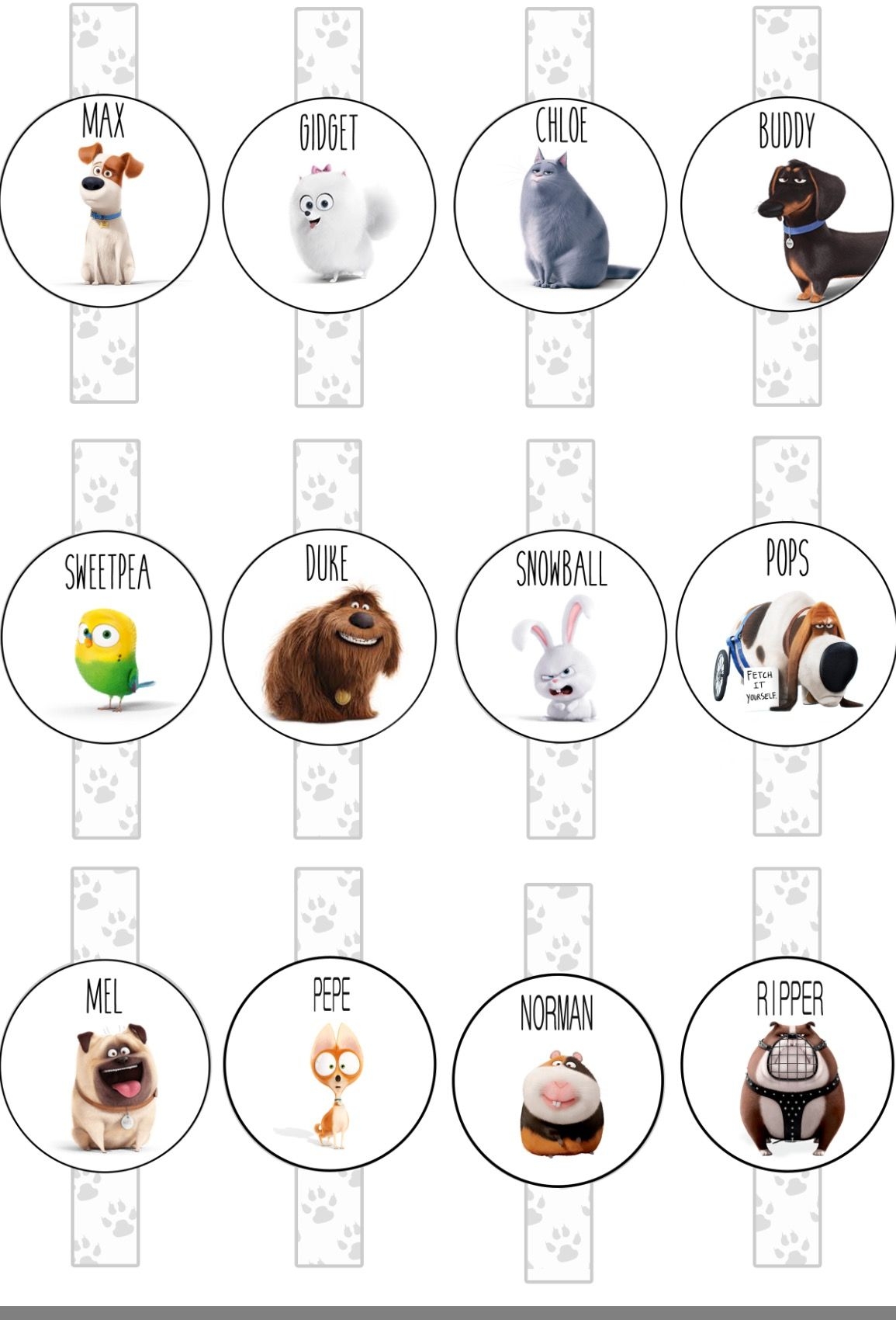 13 The Secret Life Of Pets Party Ideas Secret Life Of Pets Secret Life Pets