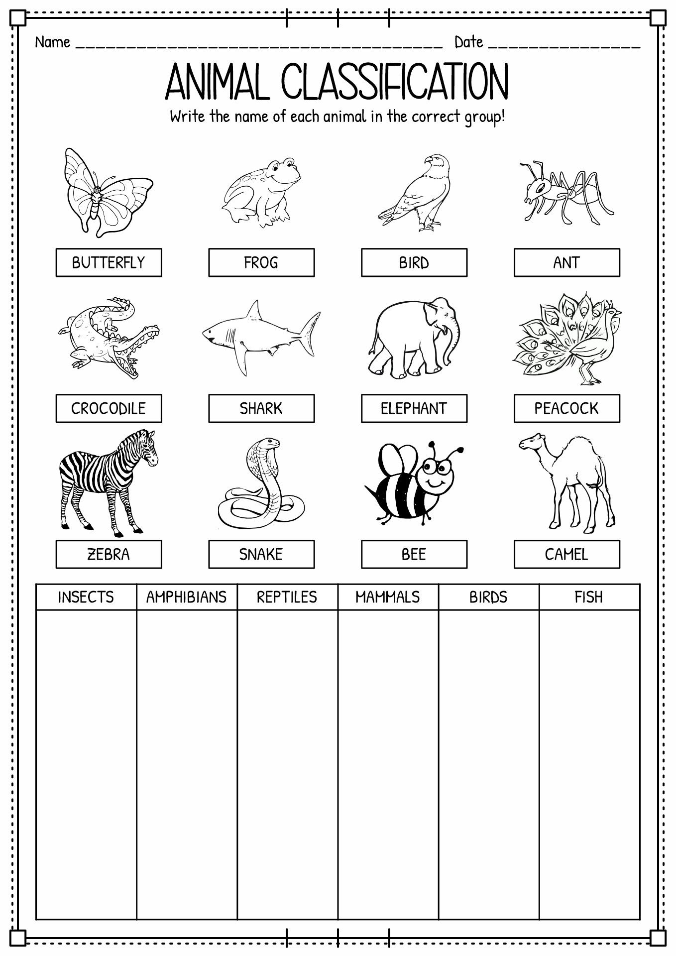 15 Engaging Animal Classification Worksheets For Preschoolers