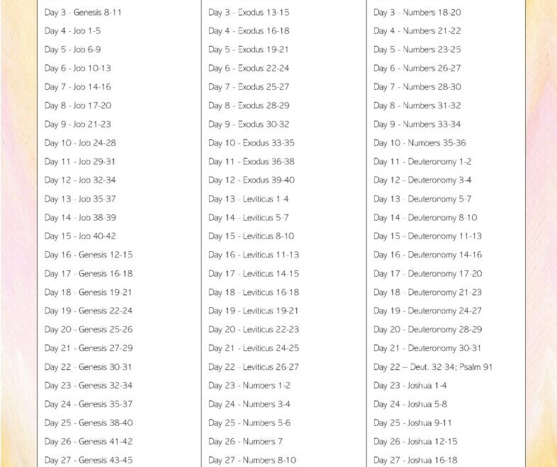 365 day Chronological Bible Reading Plan Kaylene Yoder
