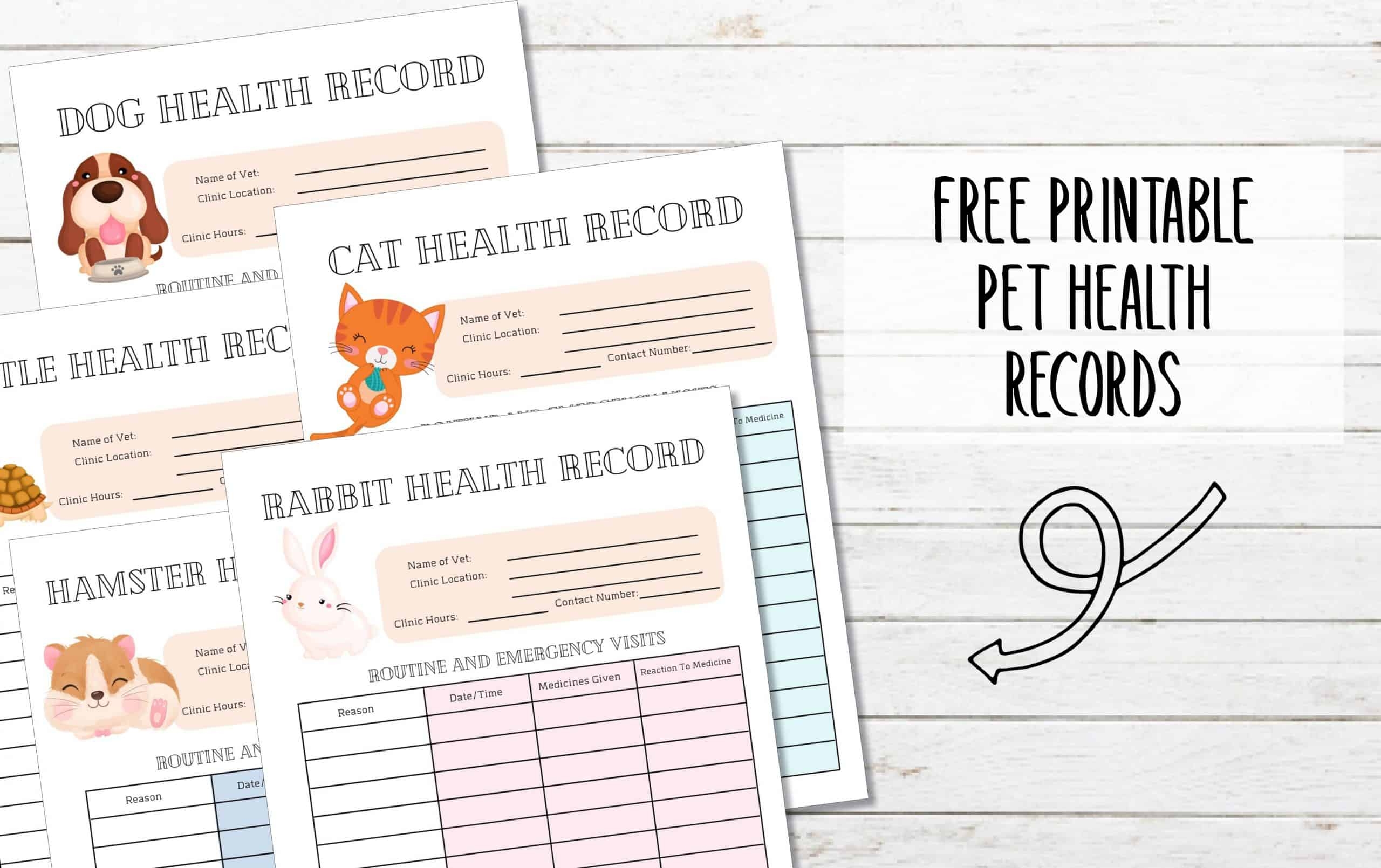 Free Printable Dog Health Record