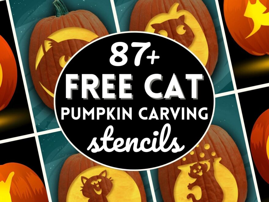 87 Free Cat Pumpkin Carving Stencils The Ultimate List
