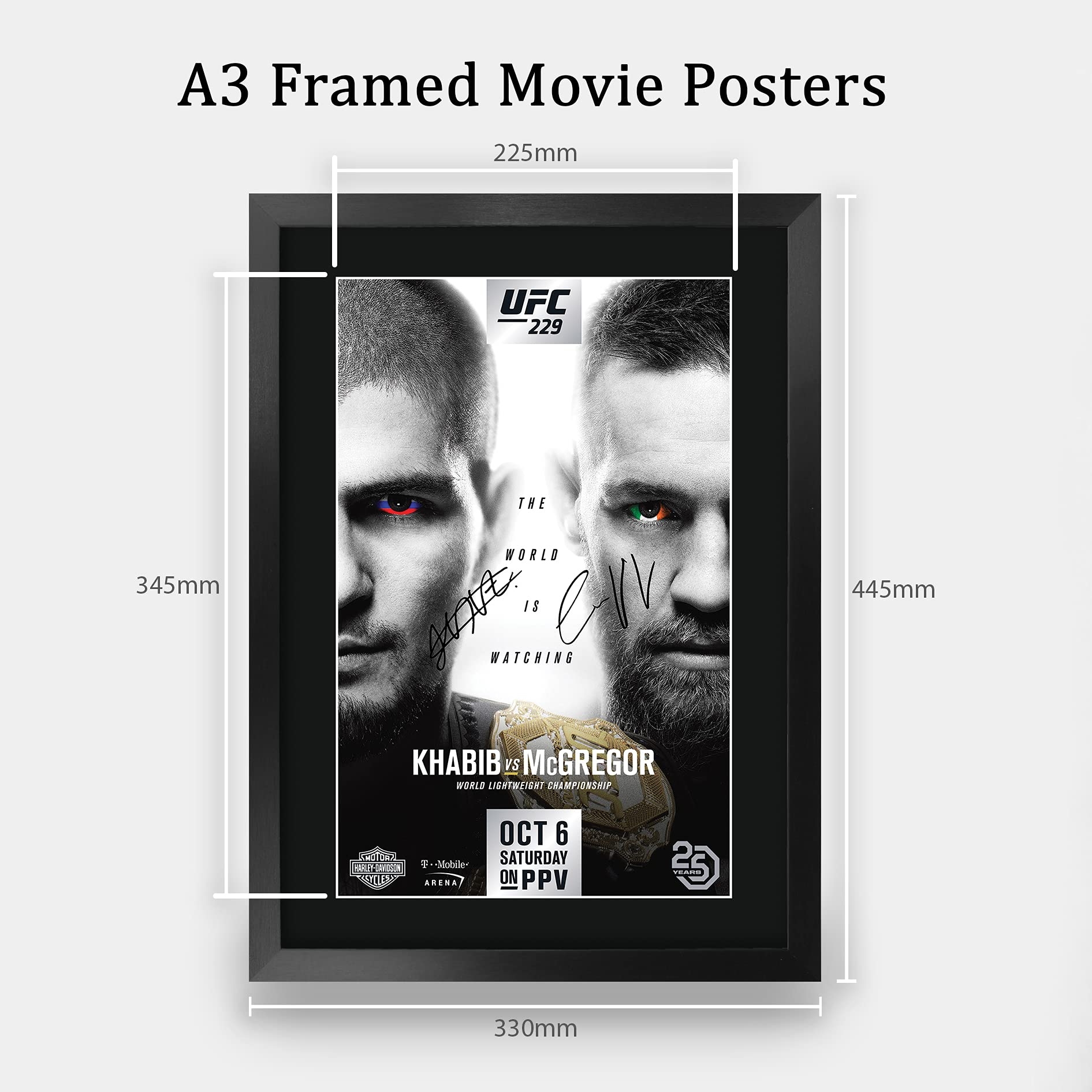 Ufc 229 Printable Fight Card
