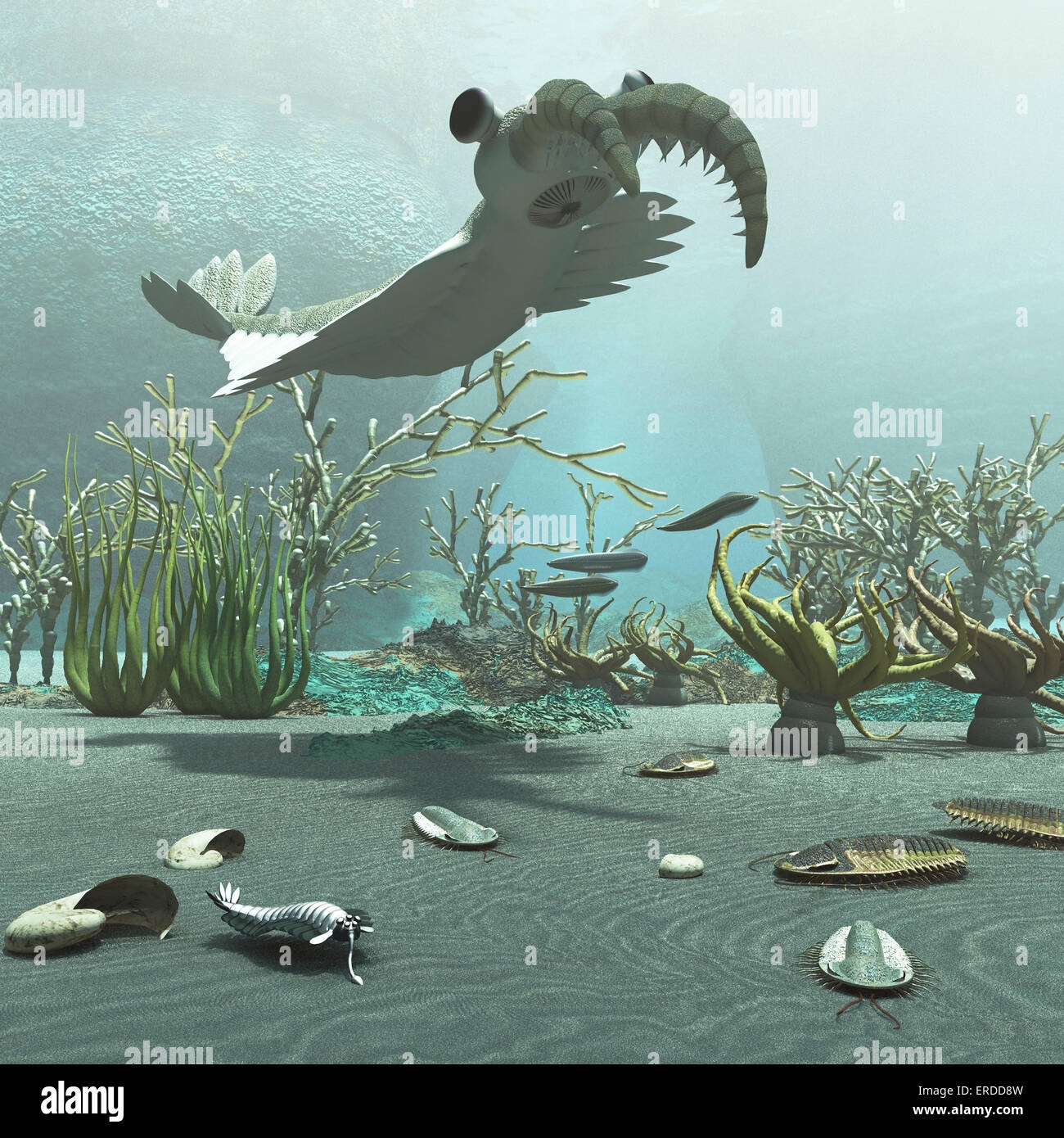 Animals And Floral Life From The Cambrian Period About 500 Million Years Ago From The Burgess Shale Formation In Canada Visible Stock Photo Alamy