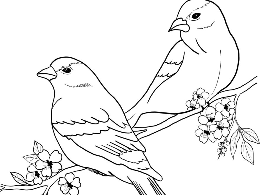 Birds Printable Coloring Sheet Coloring Pages Kids Coloring Pages Kids Summer Activity Birds Pictures Etsy