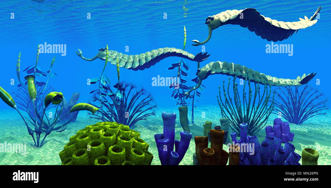 Cambrian Sea Hi res Stock Photography And Images Alamy