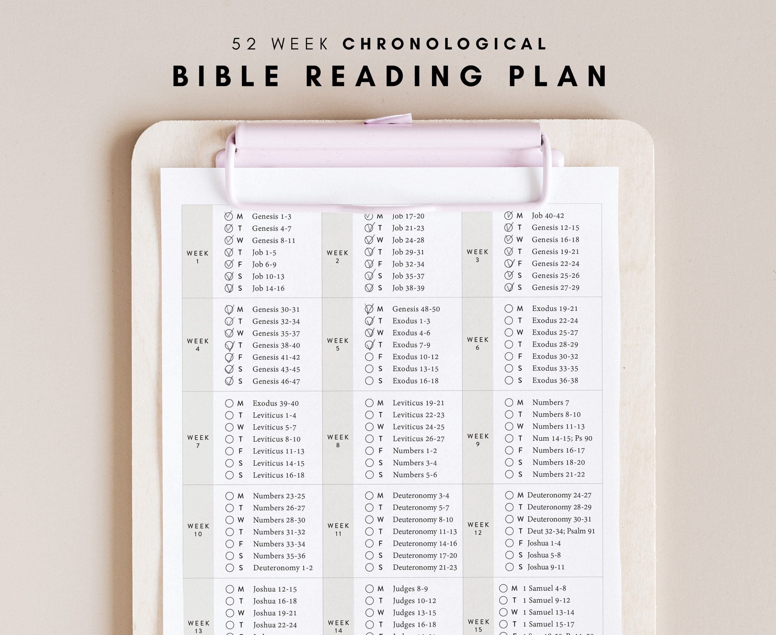 Printable Chronological Bible Reading Plan Kjv.Pdf