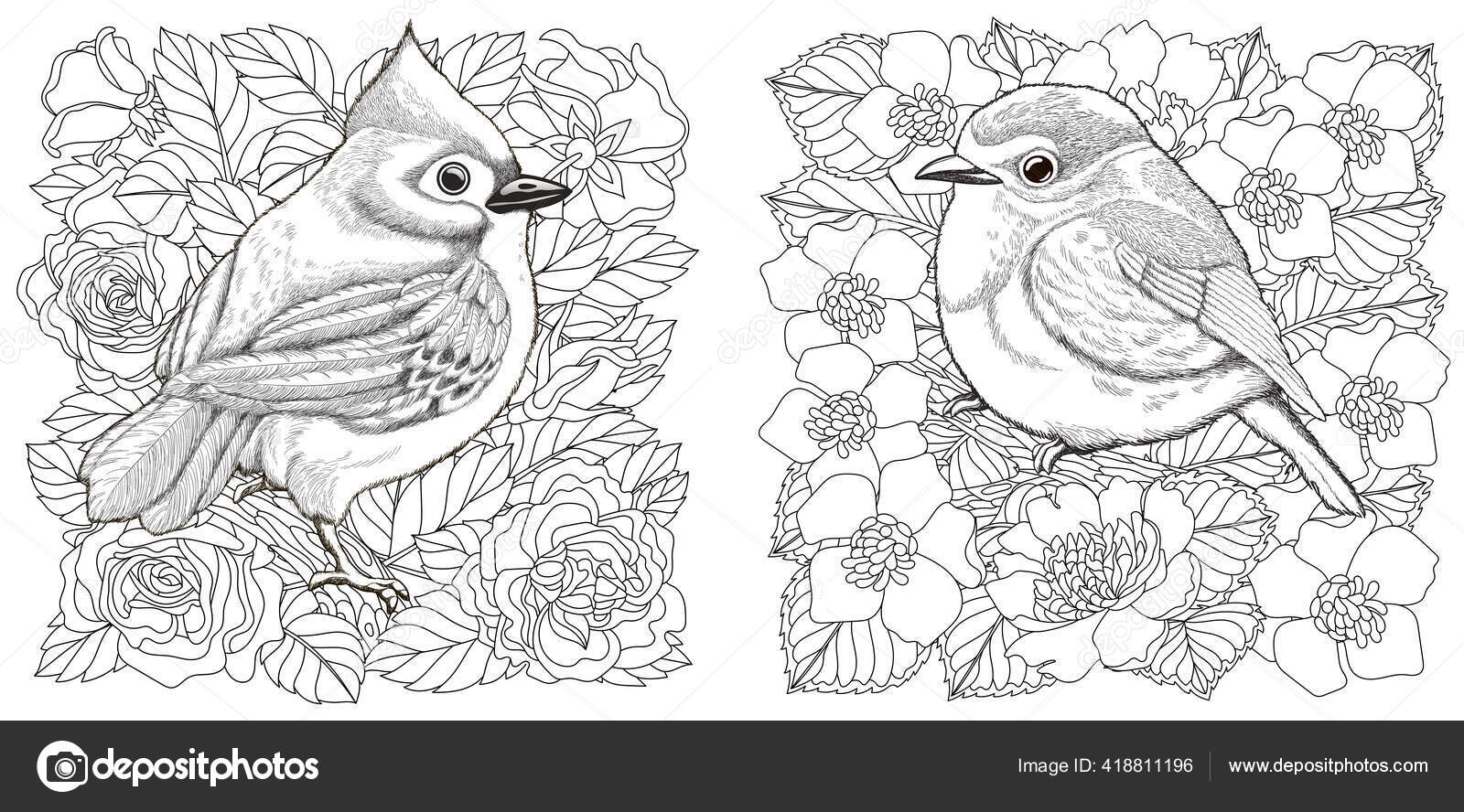 Kids Printable Coloring Pages Birds And Flowers