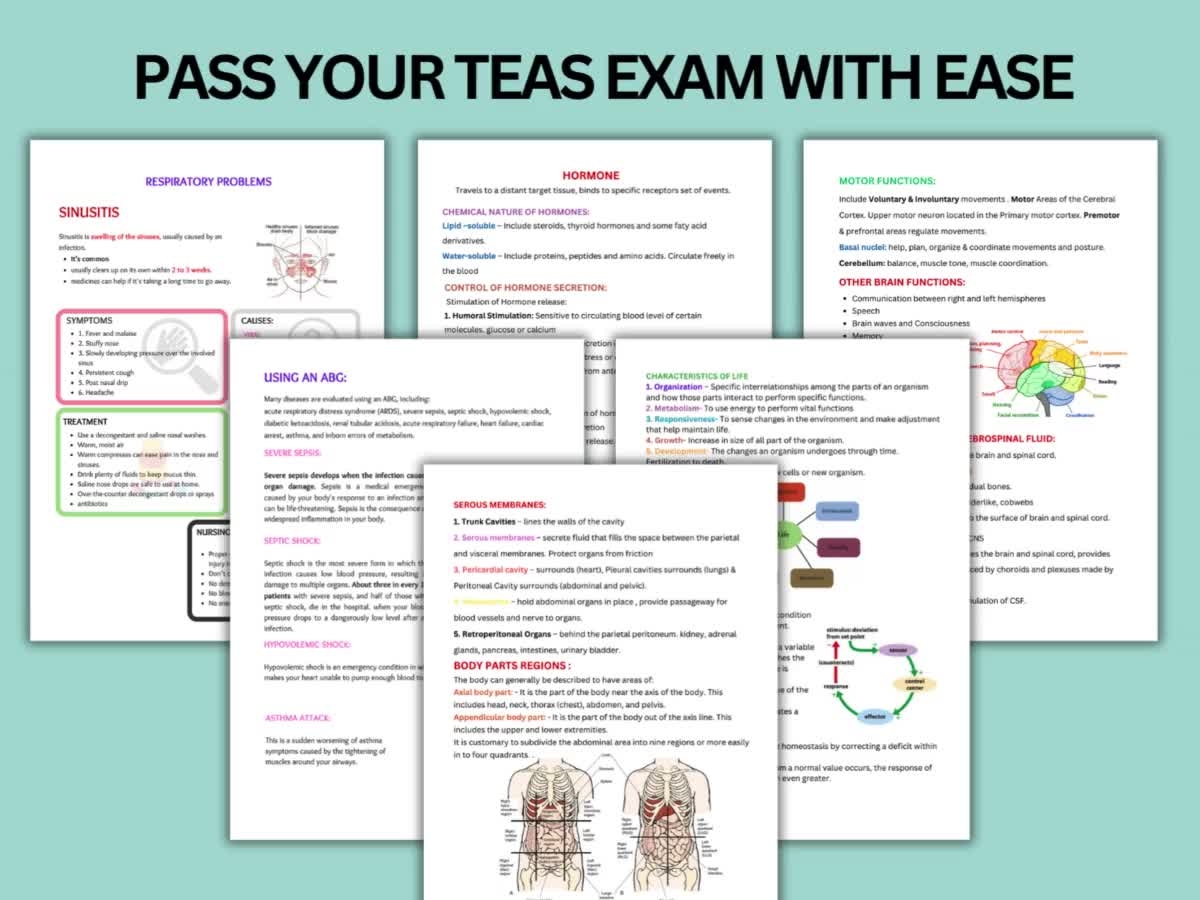 Complete ATI Teas 7 Study Guide 2024 Updated ATI TEAS 7 Study Cheat Sheet Etsy