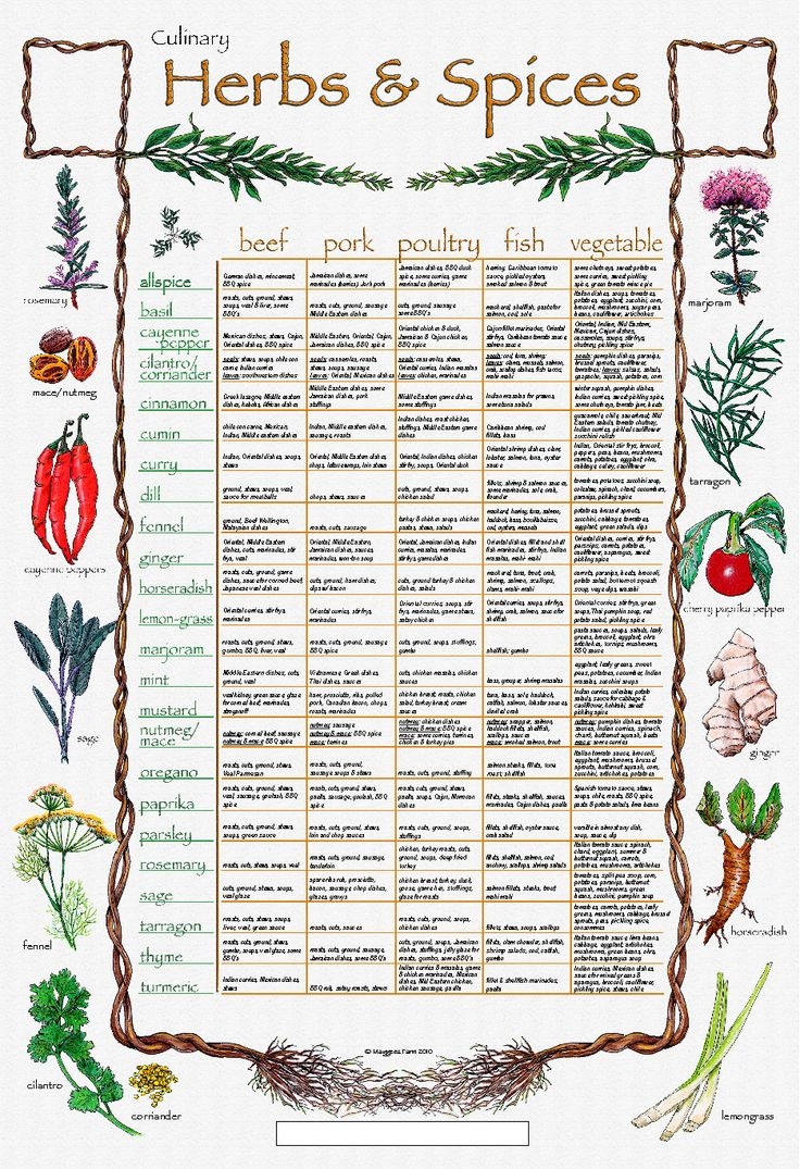 Culinary Herbs Google Search Herbs List Herbs Culinary Herbs