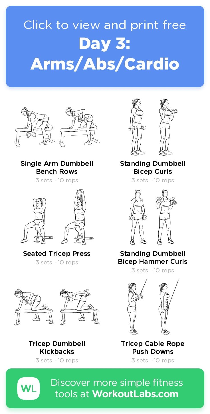 Day 3 Arms Abs Cardio Free Workout By WorkoutLabs Fit