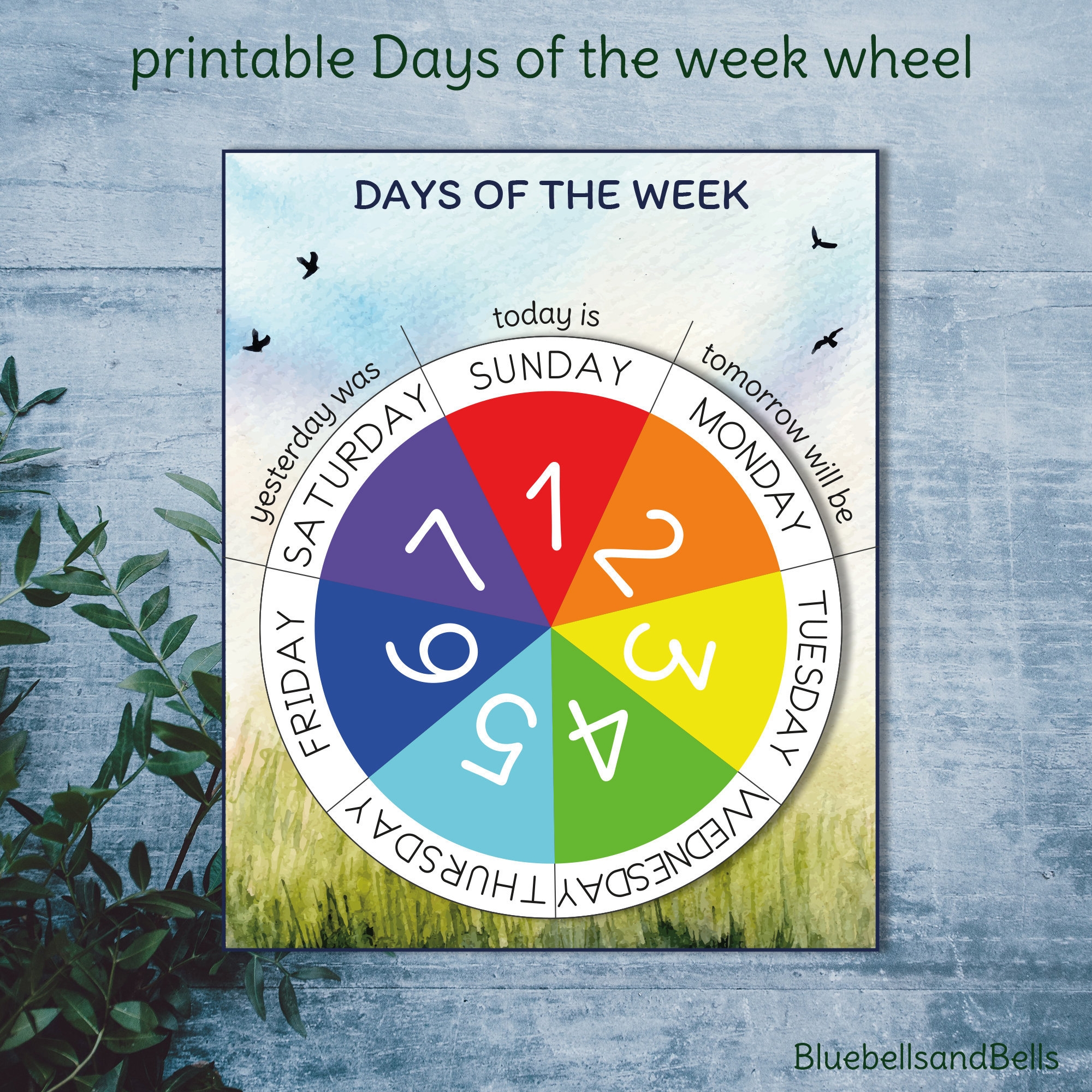 Days Of The Week Printable DIY Wheel Etsy New Zealand
