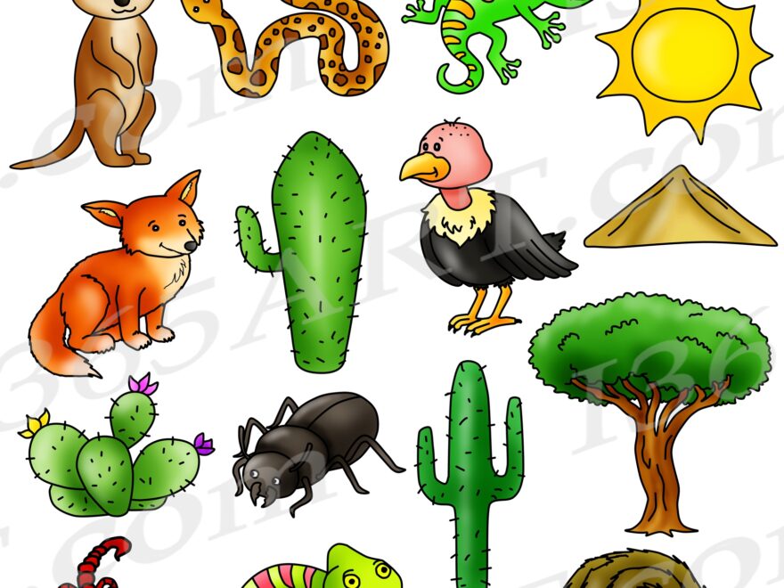 Desert Clipart Desert Animals And Terrain Clip Art School Clipart