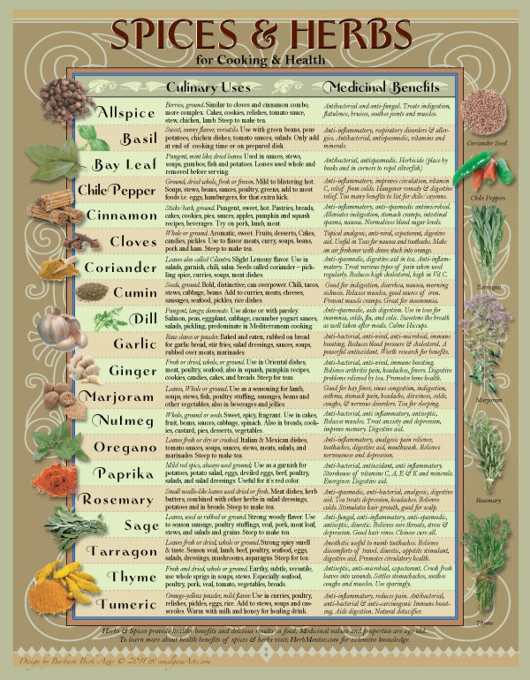 DIGITAL Kitchen Chart Healing Herbs Spices Etsy
