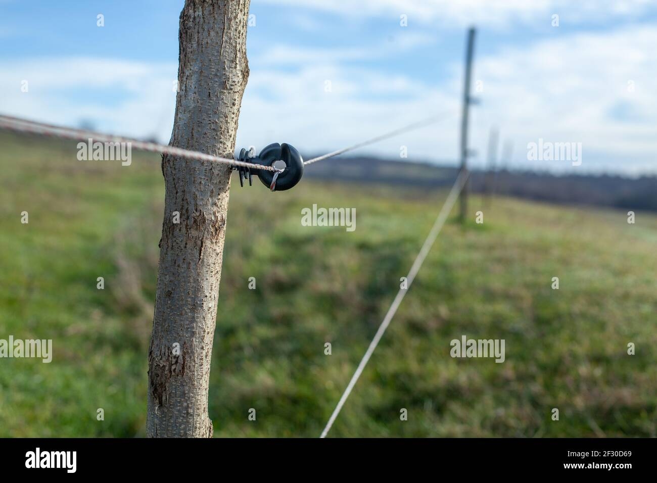 Free Printable Electric Fence For Cattle