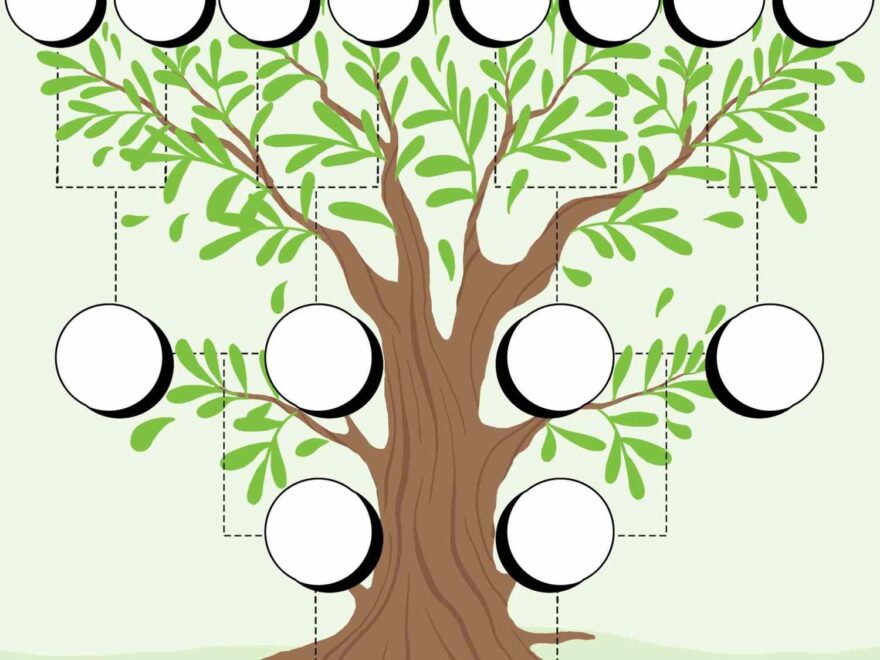 Family Tree For Kids How To Make One