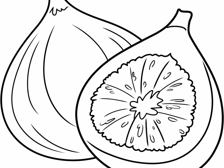 Fig Coloring Page Easy Drawing Guides