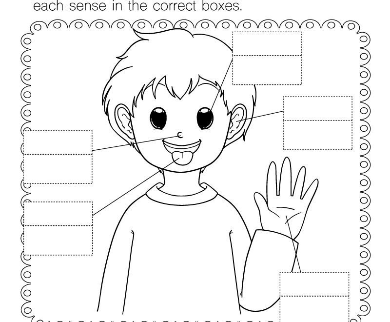Five Senses Worksheet Free Printable Digital PDF