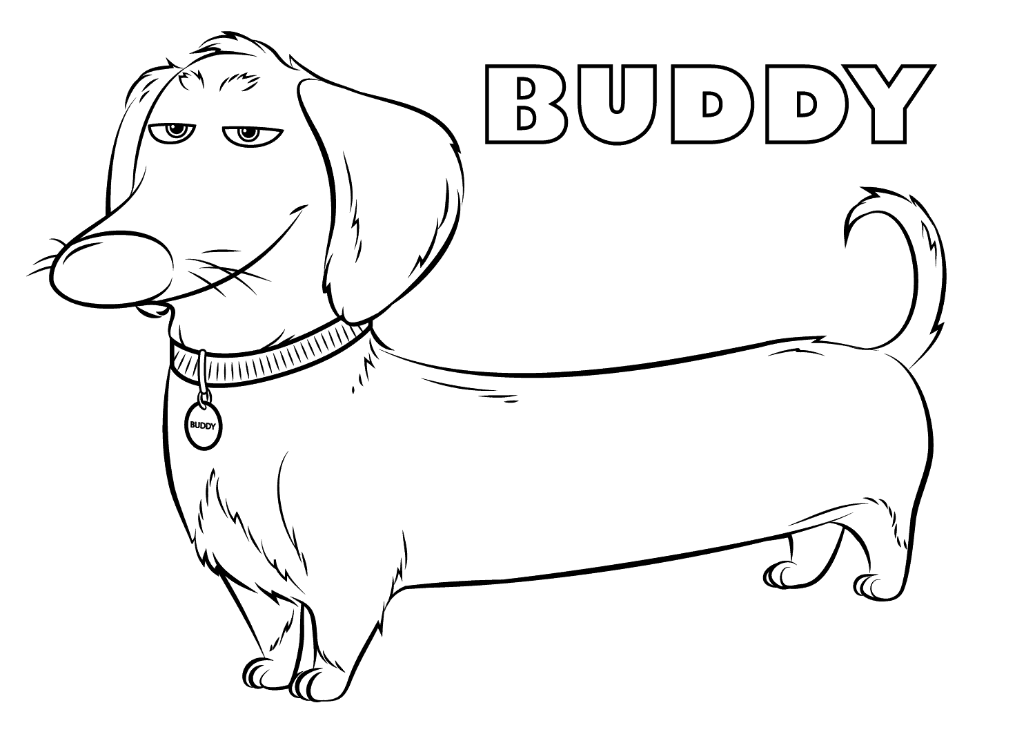 Free Comme Des B tes Coloring Page To Color The Secret Life Of Pets Coloring Pages