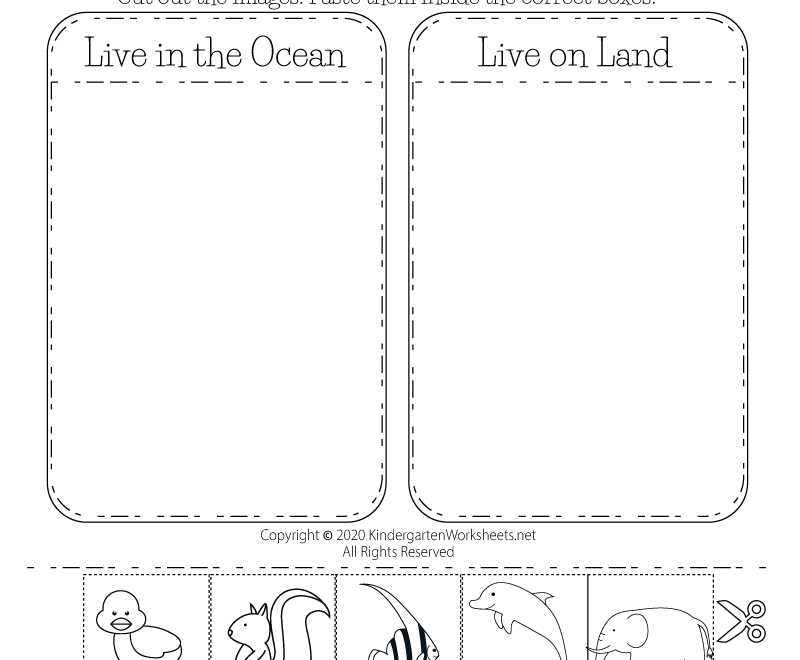 Free Printable Animal Classification Worksheet