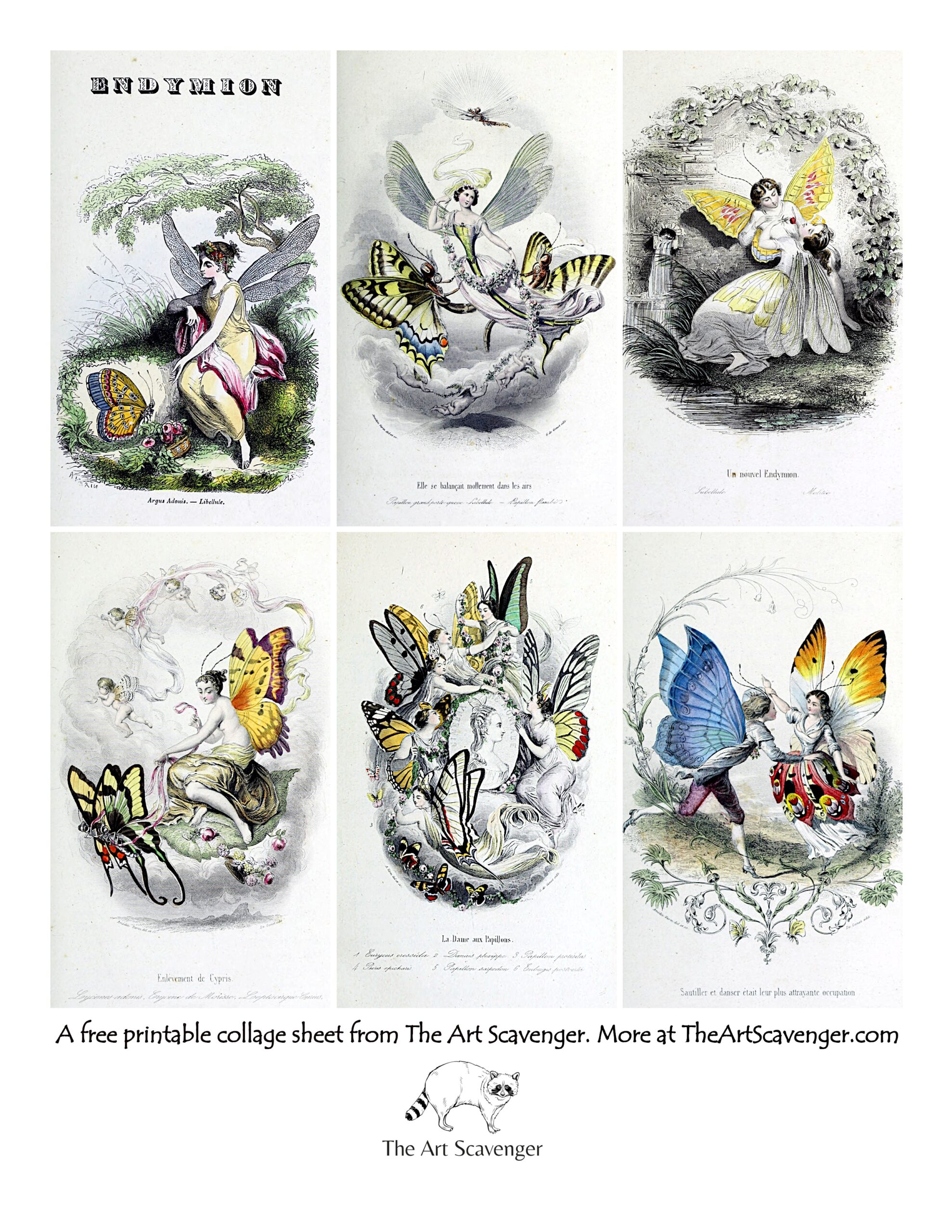 Free Printable French Butterfly Fairies Collage Sheets The Art Scavenger