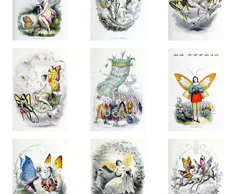 Free Printable French Butterfly Fairies Collage Sheets The Art Scavenger