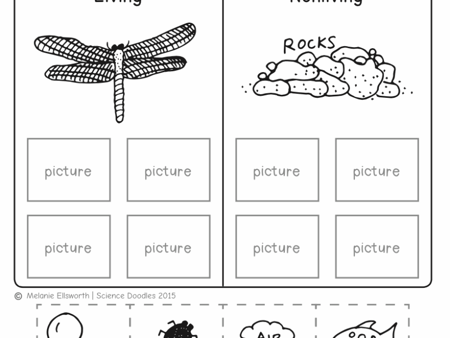 FREEBIE NO PREP Kindergarten Science Doodle Printables Free Worksheets Library