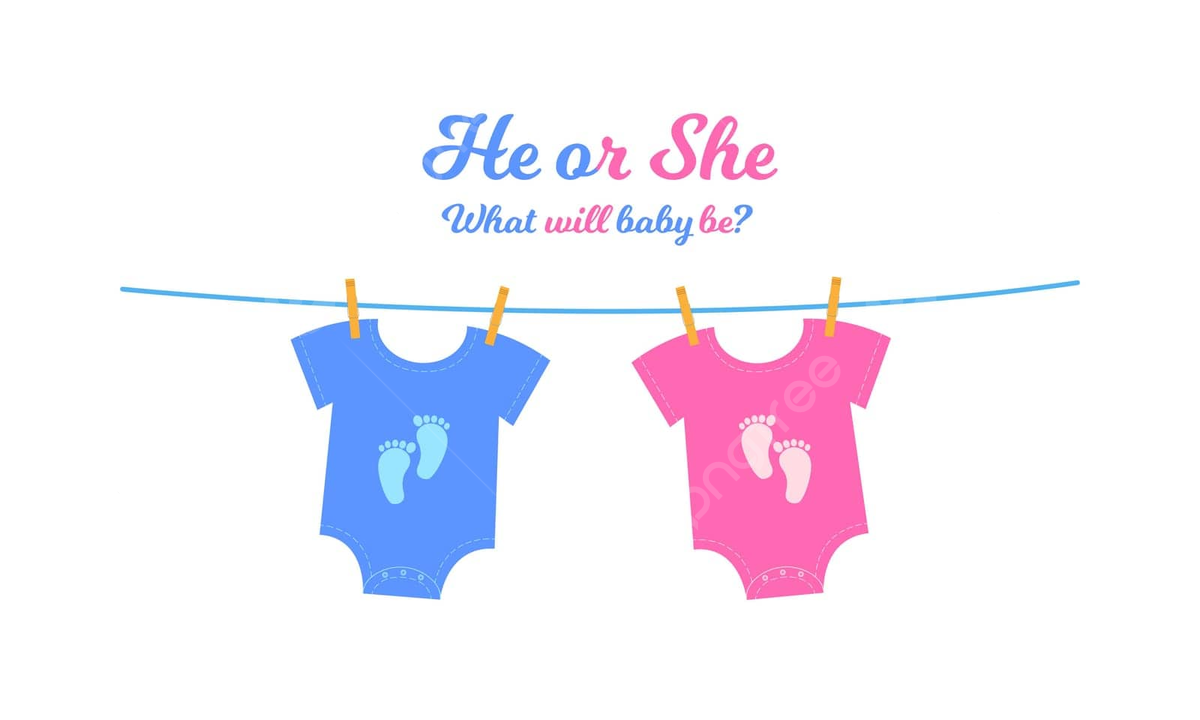 Gender Reveal Party Banner With Baby Bodysuits And Footprints Vector Printable Coming Text PNG And Vector With Transparent Background For Free Download