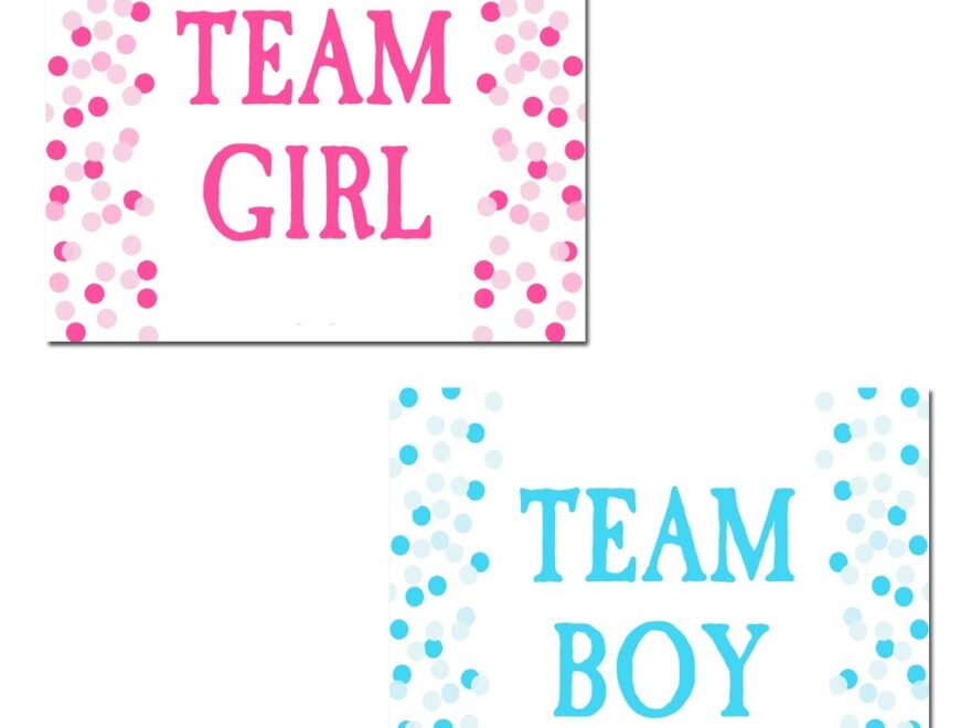 Gender Reveal Party Team Girl And Team Boy Signs By That Party Chick Confetti