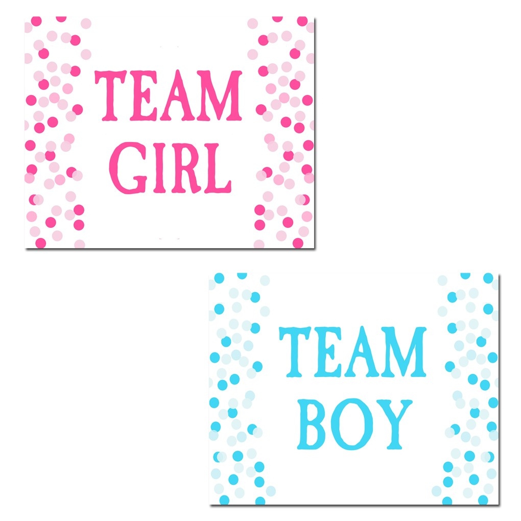 Gender Reveal Party Team Girl And Team Boy Signs By That Party Chick Confetti