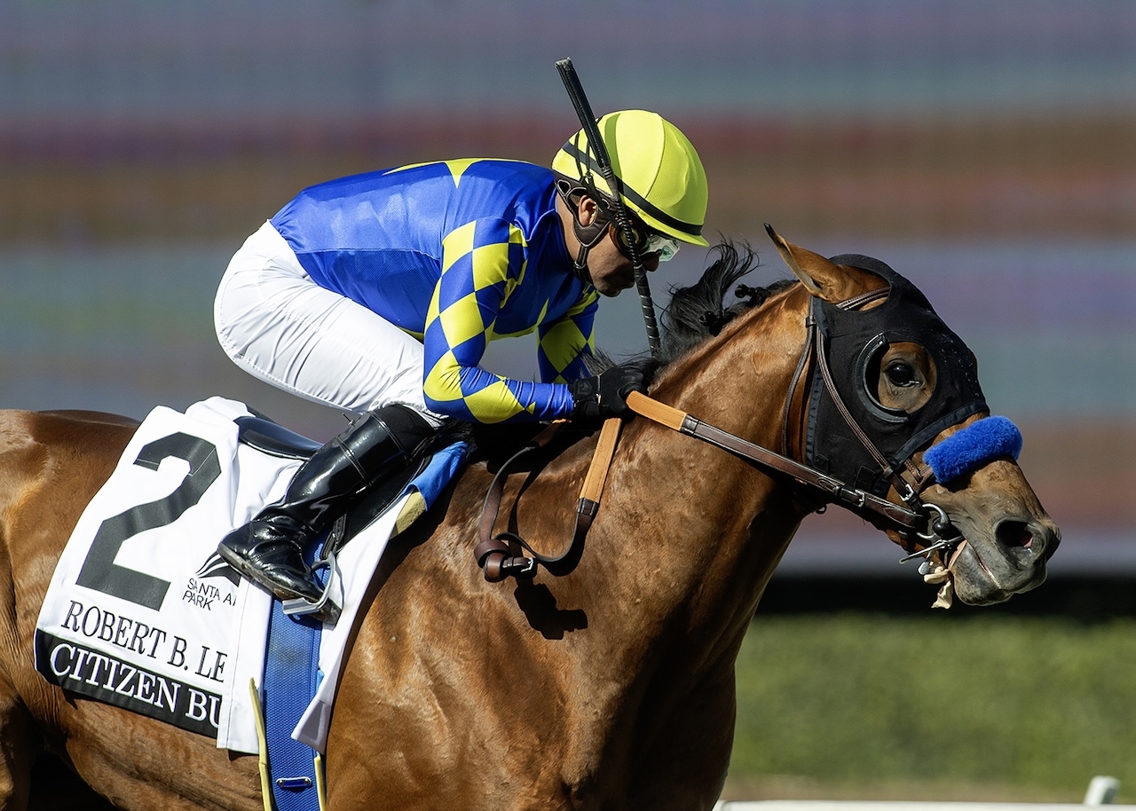 Printable Kentucky Derby 2025 Horses