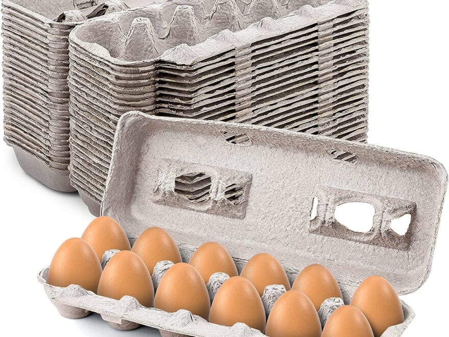 MT Products Blank Natural Pulp Egg Cartons For Twelve Eggs Strong And Sturdy 11 50 X 4 2 X 1 25 Made In The USA MT Products