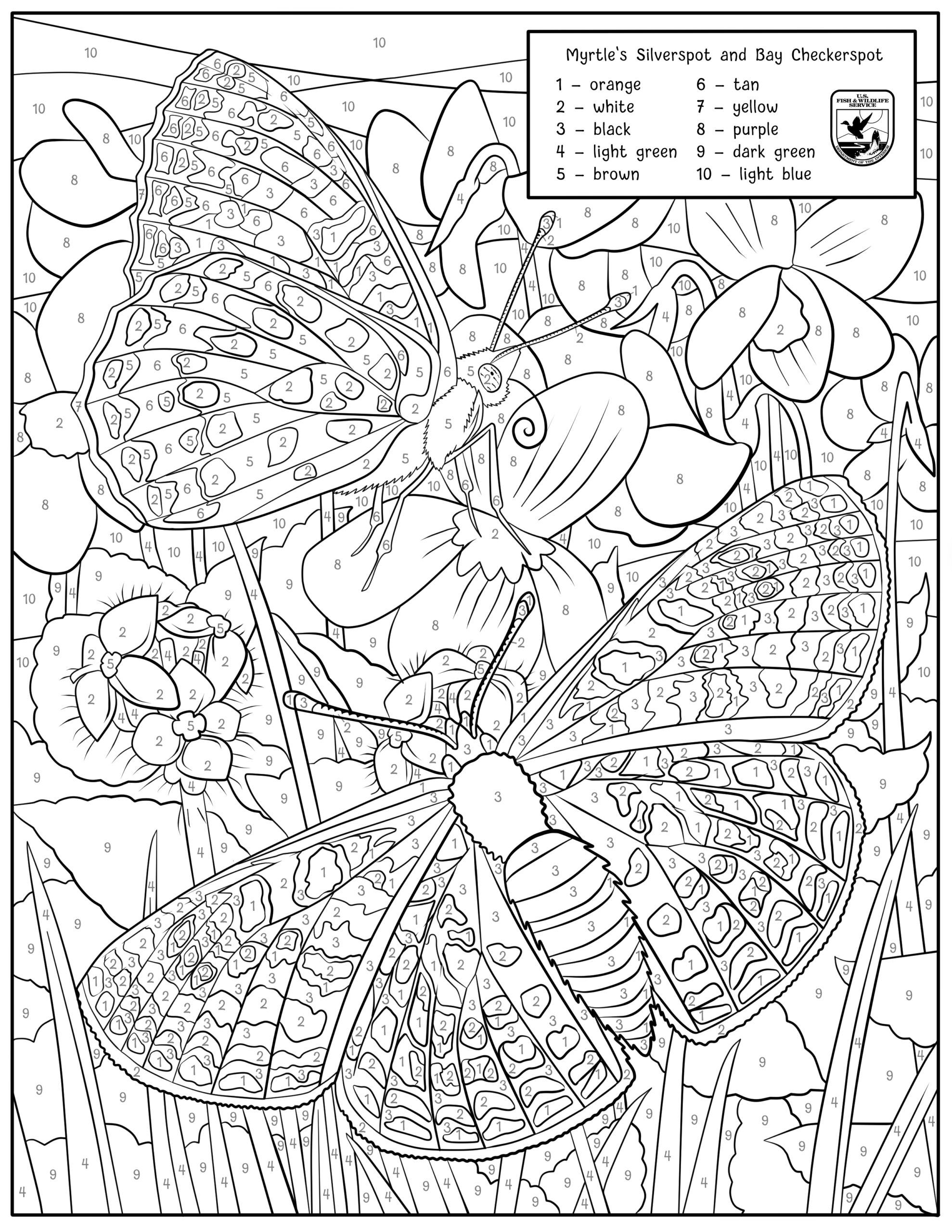 Myrtle s Silverspot And Bay Checkerspot Color by number FWS gov