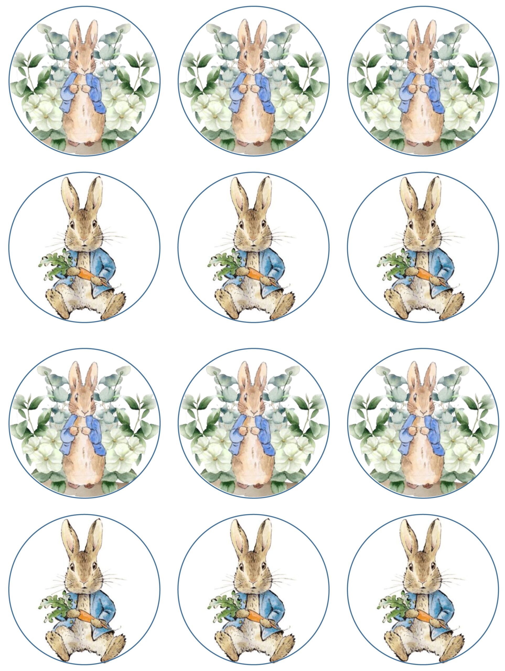 Peter Rabbit Cupcake Toppers Shore Cake Supply