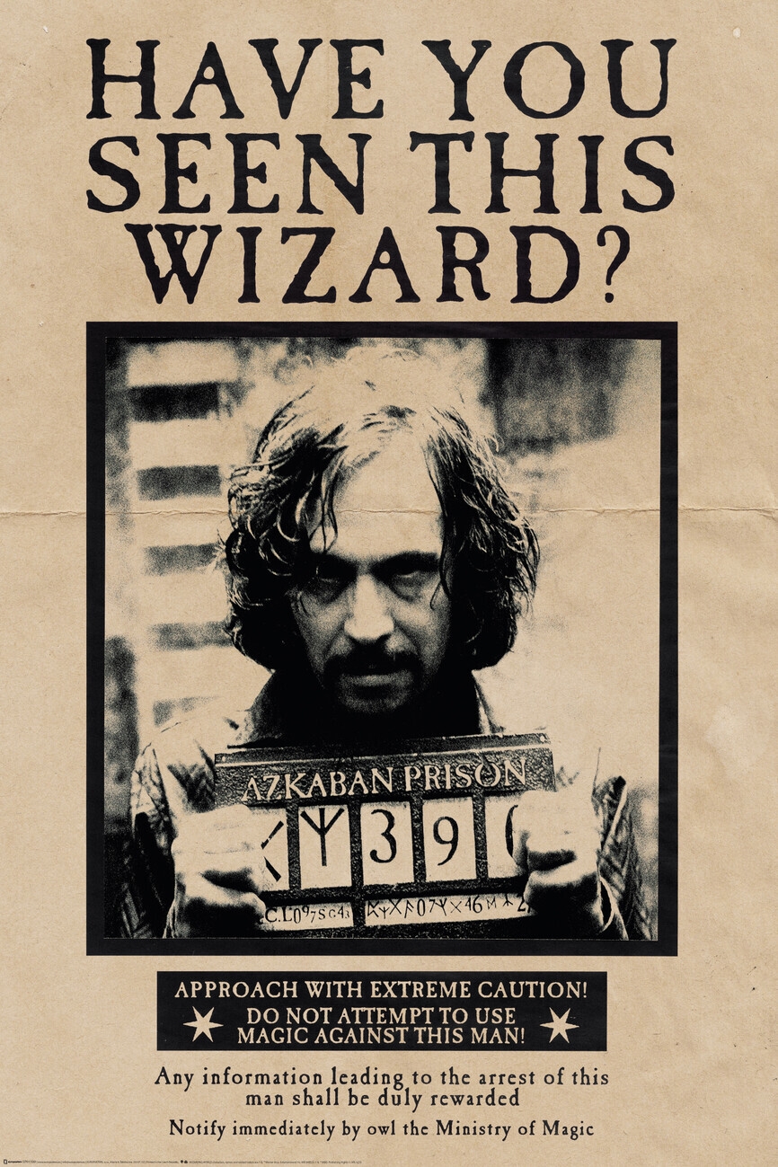 Harry Potter Wanted Pictures Free Printables