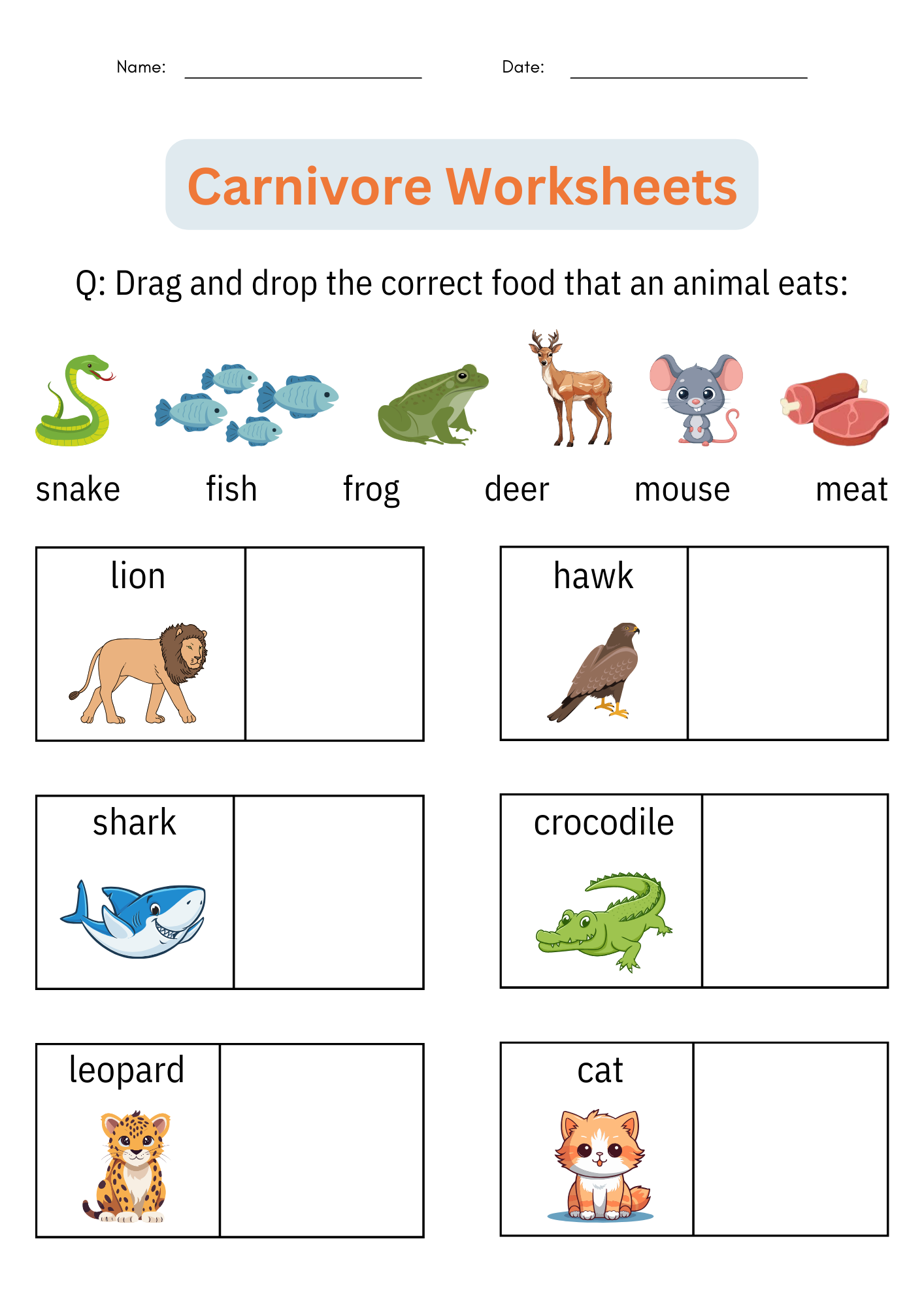 Free Printable Animal Classification Worksheets