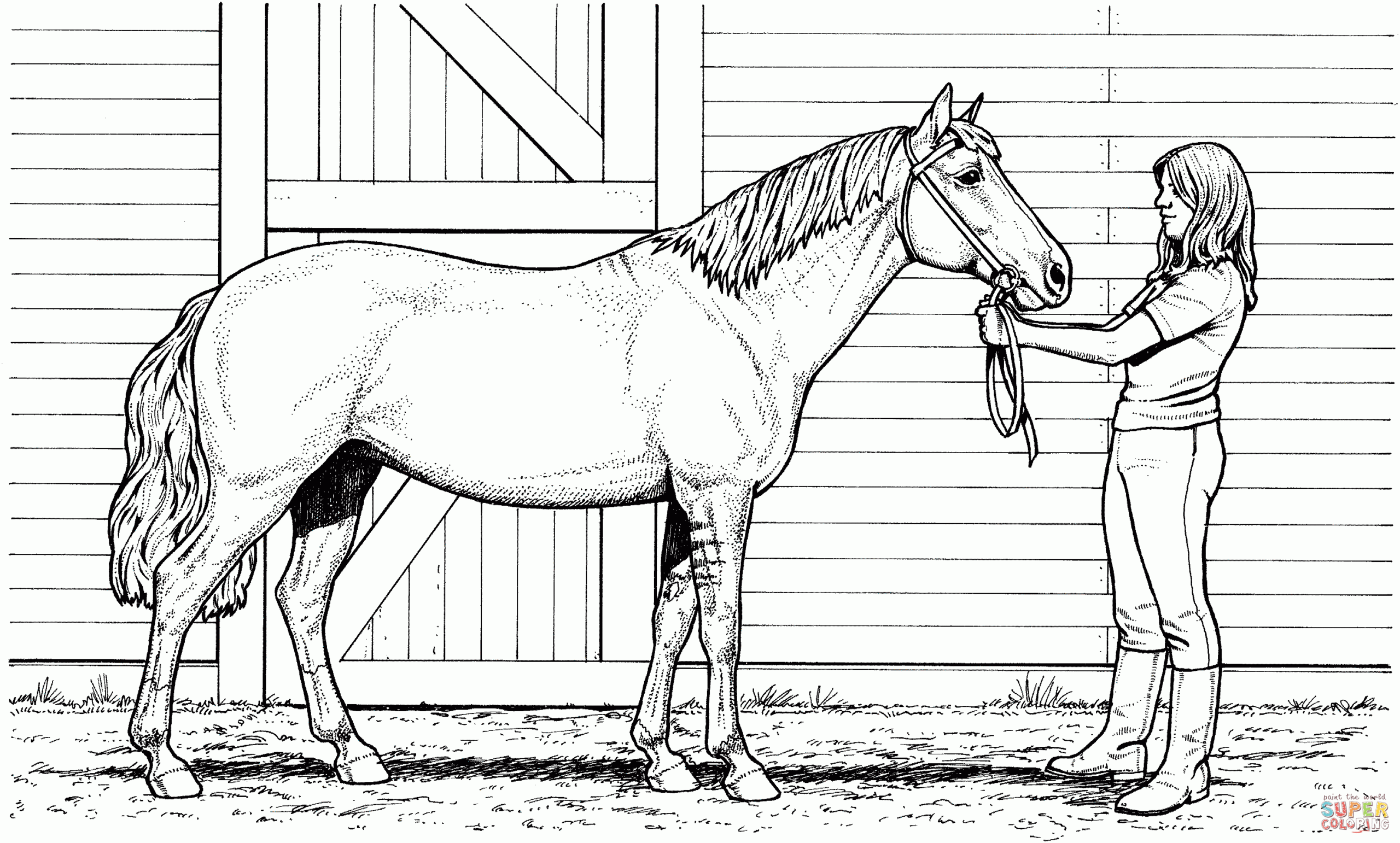 Printable Coloring Pages Of Horses