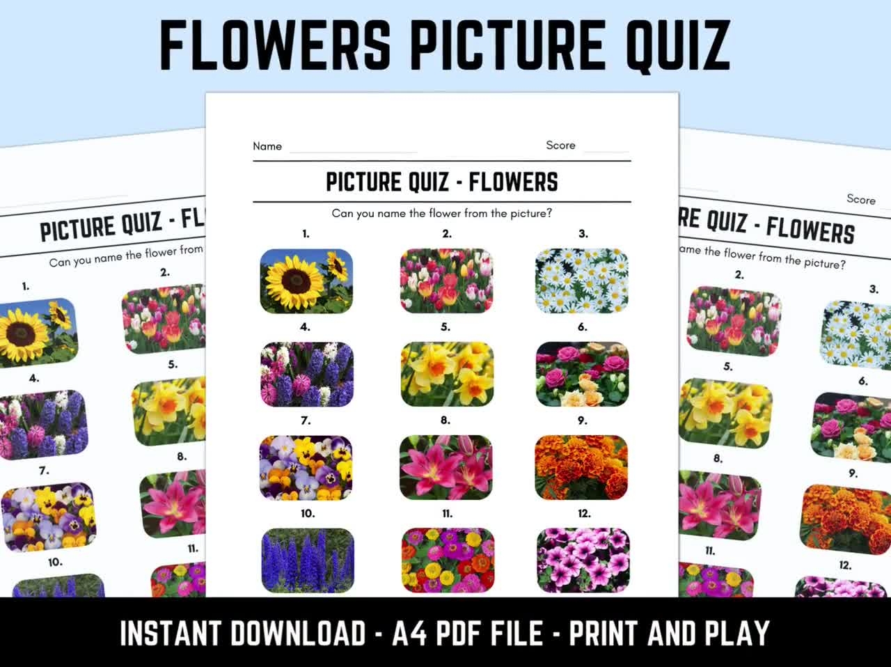 Printable Flowers Picture Quiz With Answers Picture Round Quiz Sheets Pub Quiz Trivia Downloadable Table Quiz Etsy