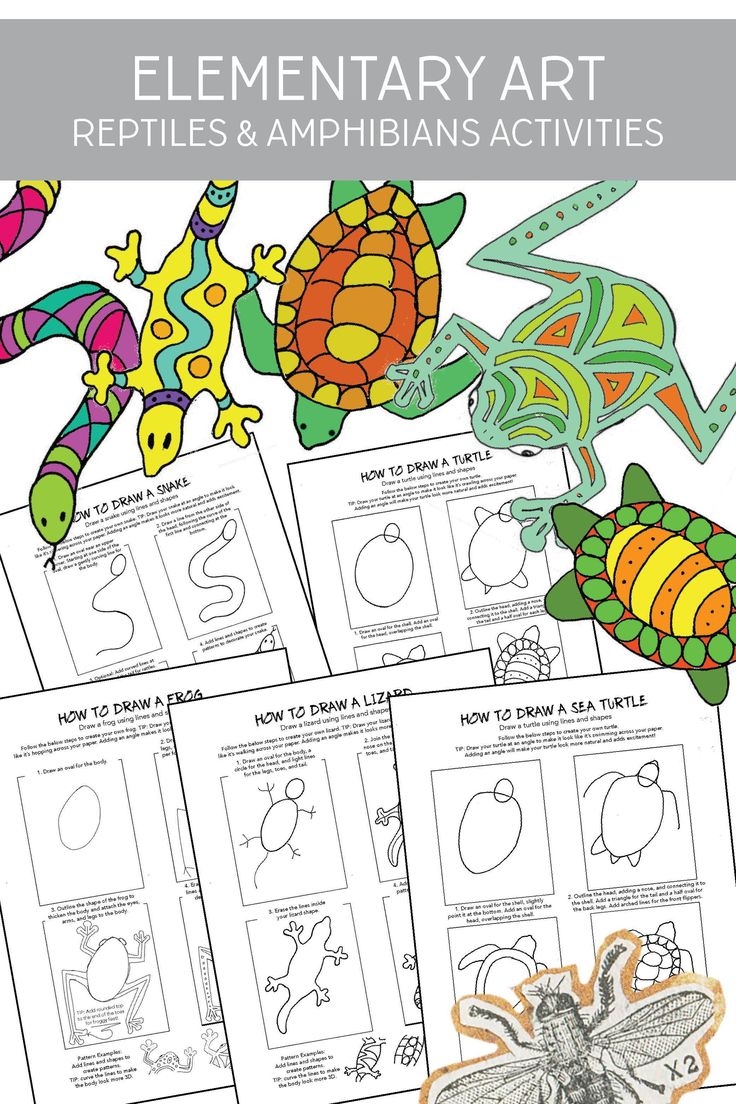 Reptiles Amphibians Printable Art Activities