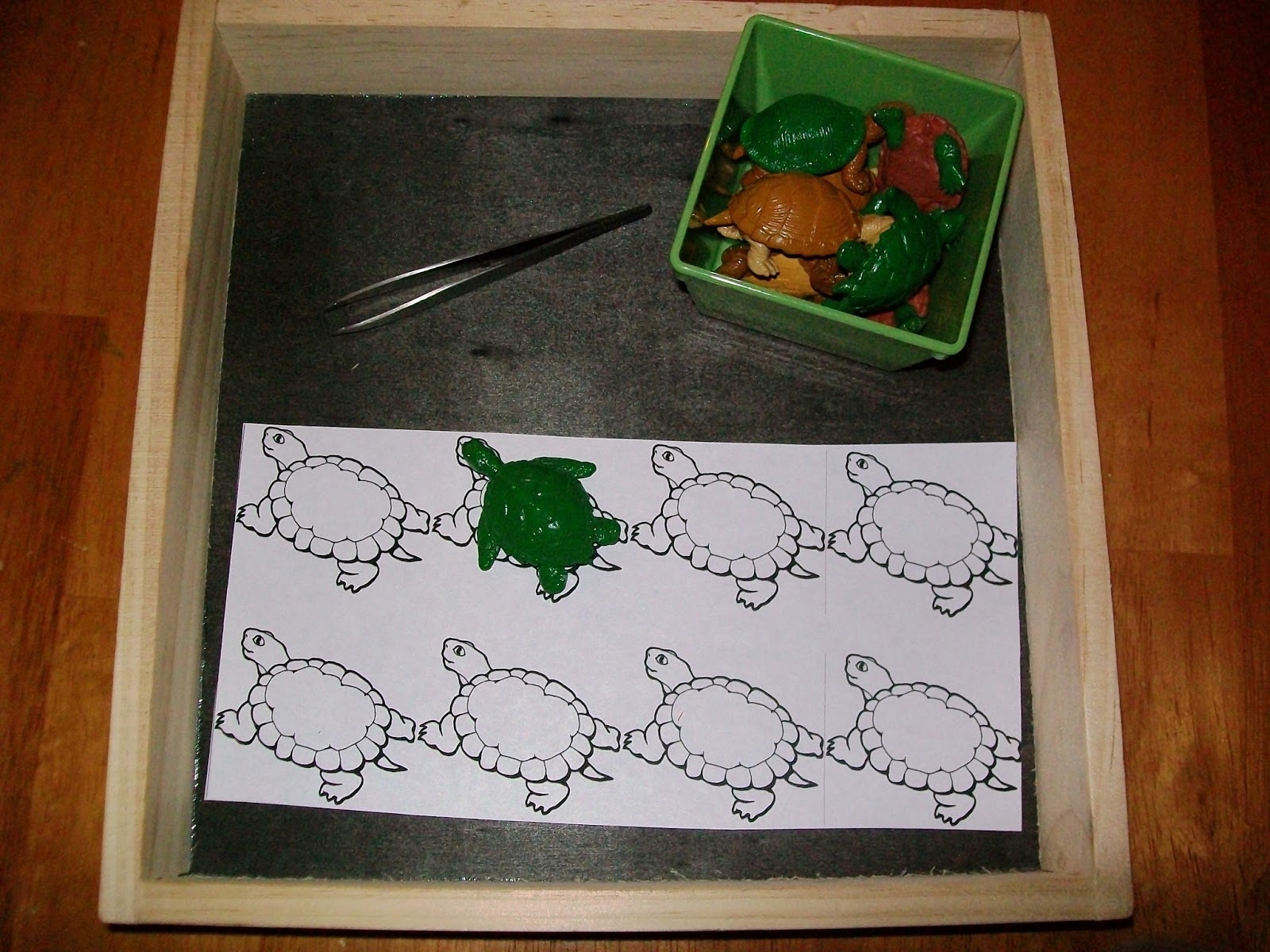 Reptiles And Amphibians Printables Turtle