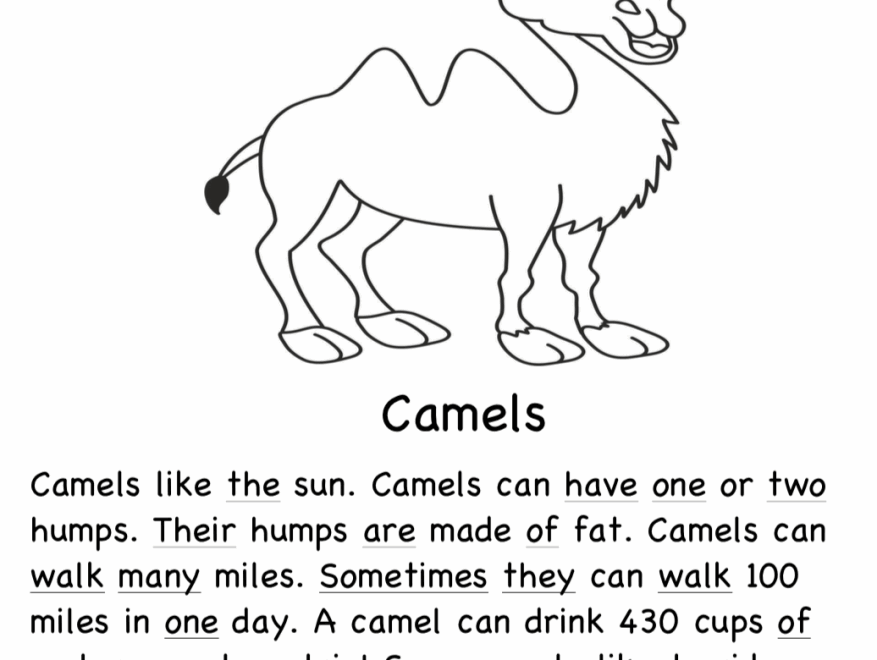 Sight Word Stories PDF Reading Elephant