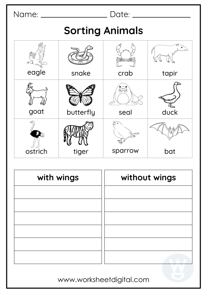 Printable Science Worksheets For First Graders