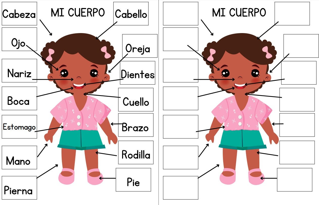 Parts Of The Face In Spanish Printables