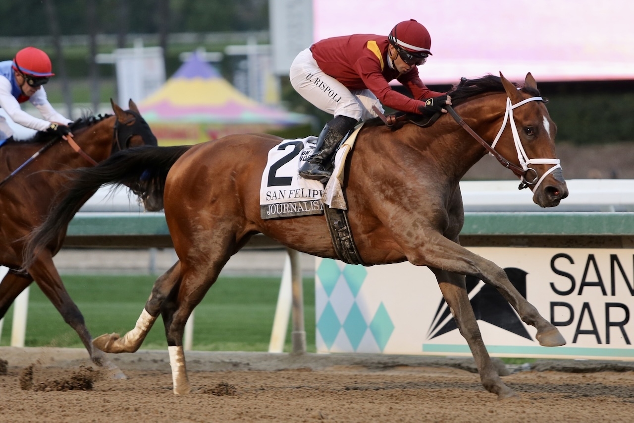 Study Guide 2025 Kentucky Derby News Kentucky Derby