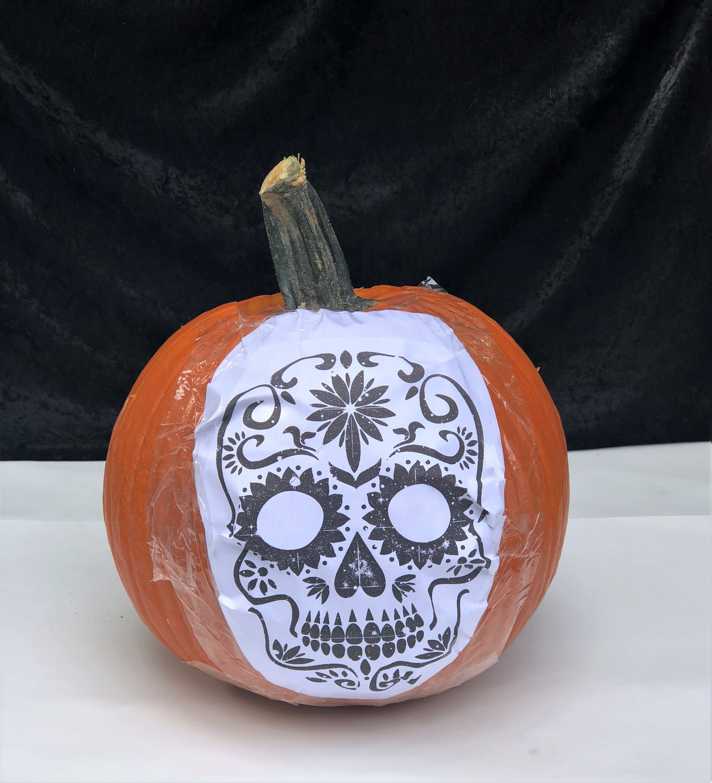 Sugar Skull Pumpkin Tutorial News