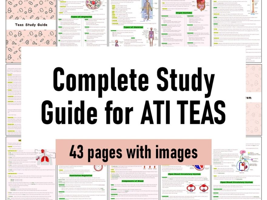 The Complete ATI TEAS 7 Study Guide Etsy