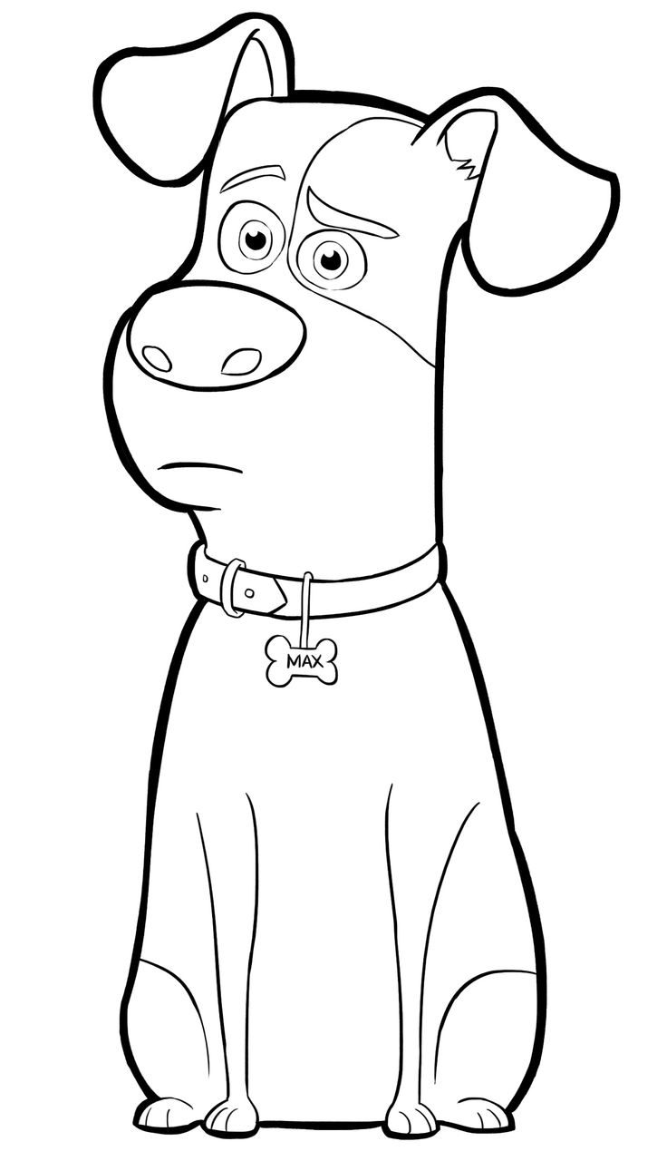 The Secret Life Of Pets Coloring Pages Coloring Home