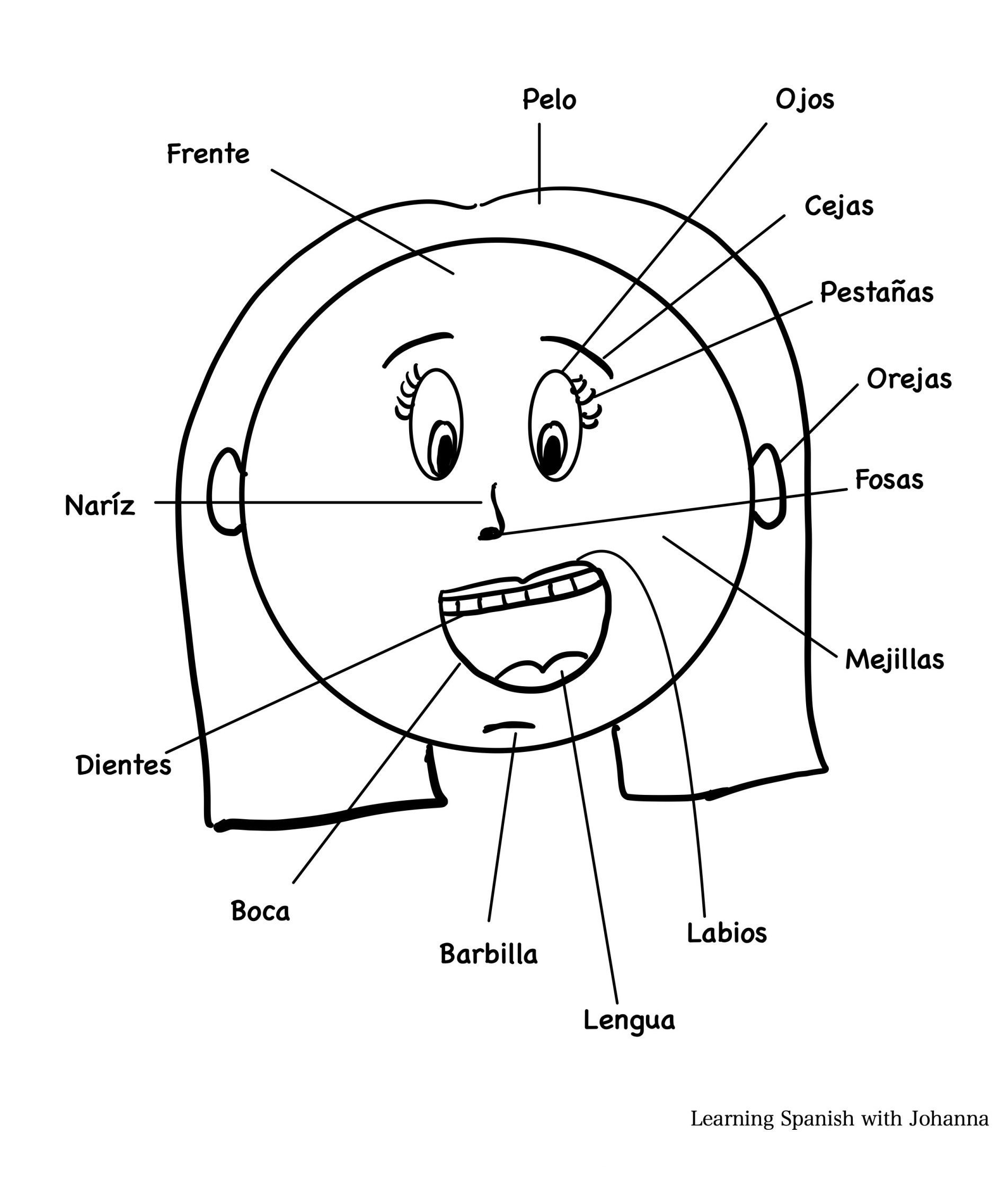 Vocabulary Face Part 2 Learning Spanish With Johanna